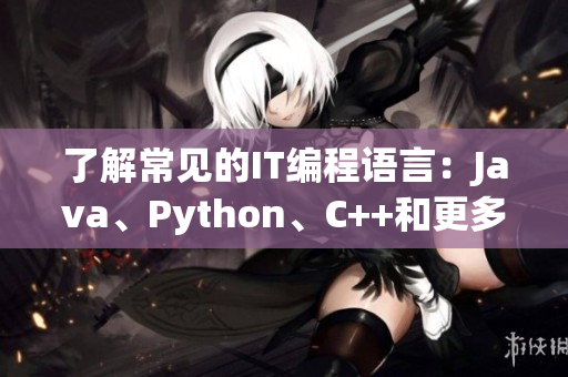 了解常見(jiàn)的IT編程語(yǔ)言：Java、Python、C++和更多！