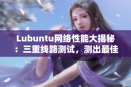 Lubuntu網(wǎng)絡(luò)性能大揭秘：三重線路測(cè)試，測(cè)出最佳網(wǎng)絡(luò)軟件運(yùn)行之路