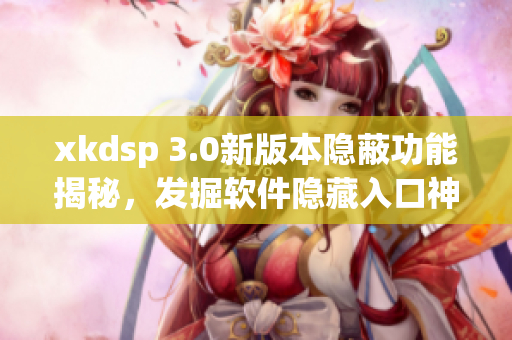 xkdsp 3.0新版本隱蔽功能揭秘，發(fā)掘軟件隱藏入口神秘特色