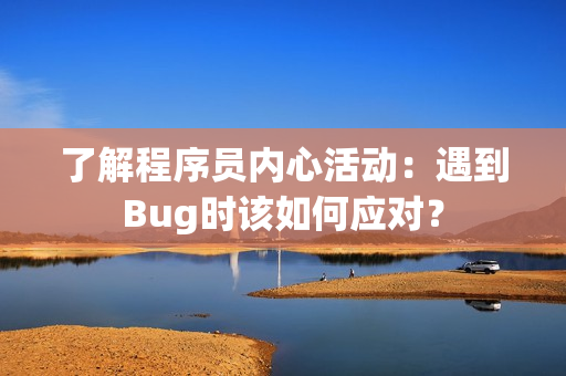 了解程序員內(nèi)心活動：遇到Bug時該如何應(yīng)對？