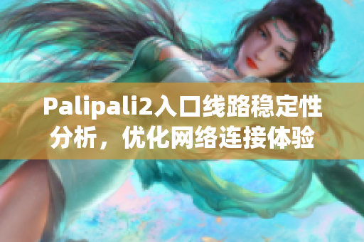 Palipali2入口線路穩(wěn)定性分析，優(yōu)化網(wǎng)絡(luò)連接體驗