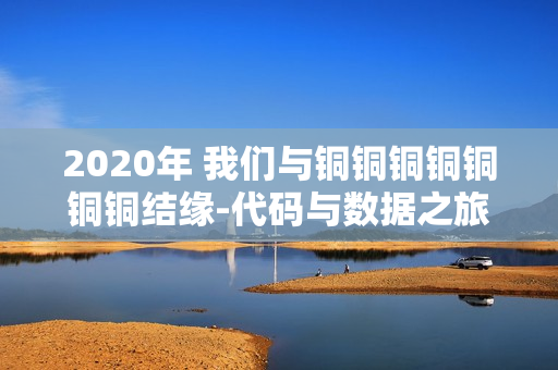 2020年 我們與銅銅銅銅銅銅銅結(jié)緣-代碼與數(shù)據(jù)之旅