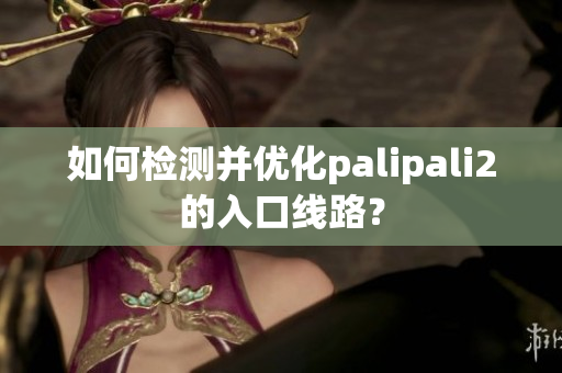 如何檢測(cè)并優(yōu)化palipali2的入口線路？