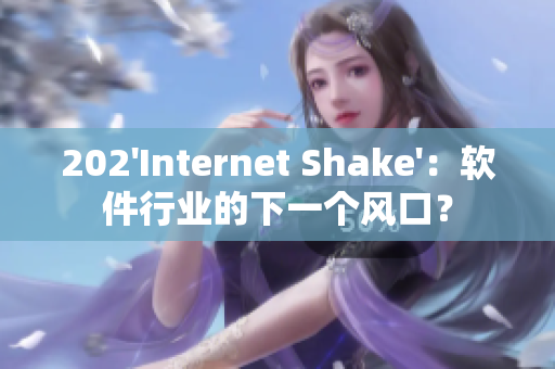 202'Internet Shake'：軟件行業(yè)的下一個(gè)風(fēng)口？