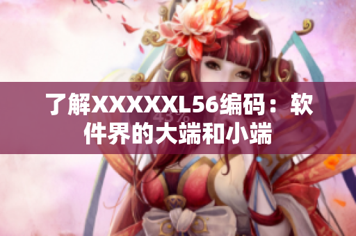 了解XXXXXL56編碼：軟件界的大端和小端