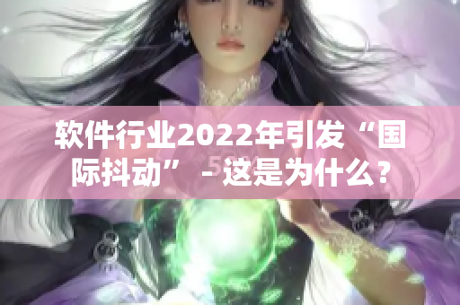 軟件行業(yè)2022年引發(fā)“國(guó)際抖動(dòng)” - 這是為什么？