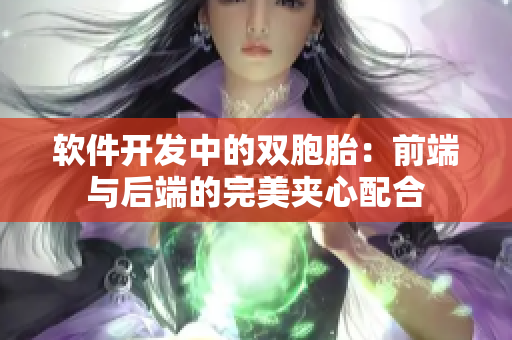 軟件開發(fā)中的雙胞胎：前端與后端的完美夾心配合