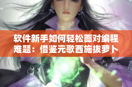 軟件新手如何輕松面對編程難題：借鑒元歌西施拔蘿卜流血的成功經驗