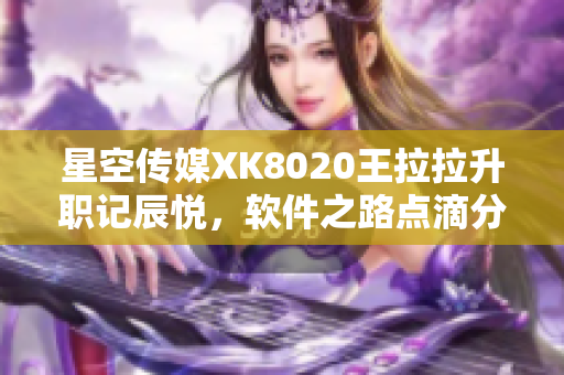 星空傳媒XK8020王拉拉升職記辰悅，軟件之路點滴分享