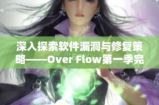 深入探索軟件漏洞與修復(fù)策略——Over Flow第一季完整觀看指南