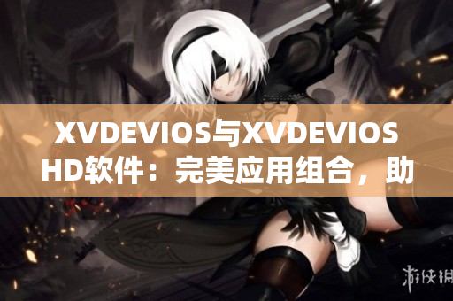 XVDEVIOS與XVDEVIOSHD軟件：完美應用組合，助力您工作更高效