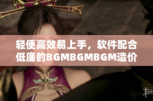 輕便高效易上手，軟件配合低廉的BGMBGMBGM造價格化解煩惱