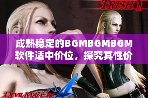 成熟穩(wěn)定的BGMBGMBGM軟件適中價位，探究其性價比的深度評測