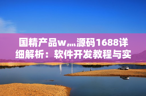 國精產(chǎn)品w灬源碼1688詳細(xì)解析：軟件開發(fā)教程與實(shí)例分析